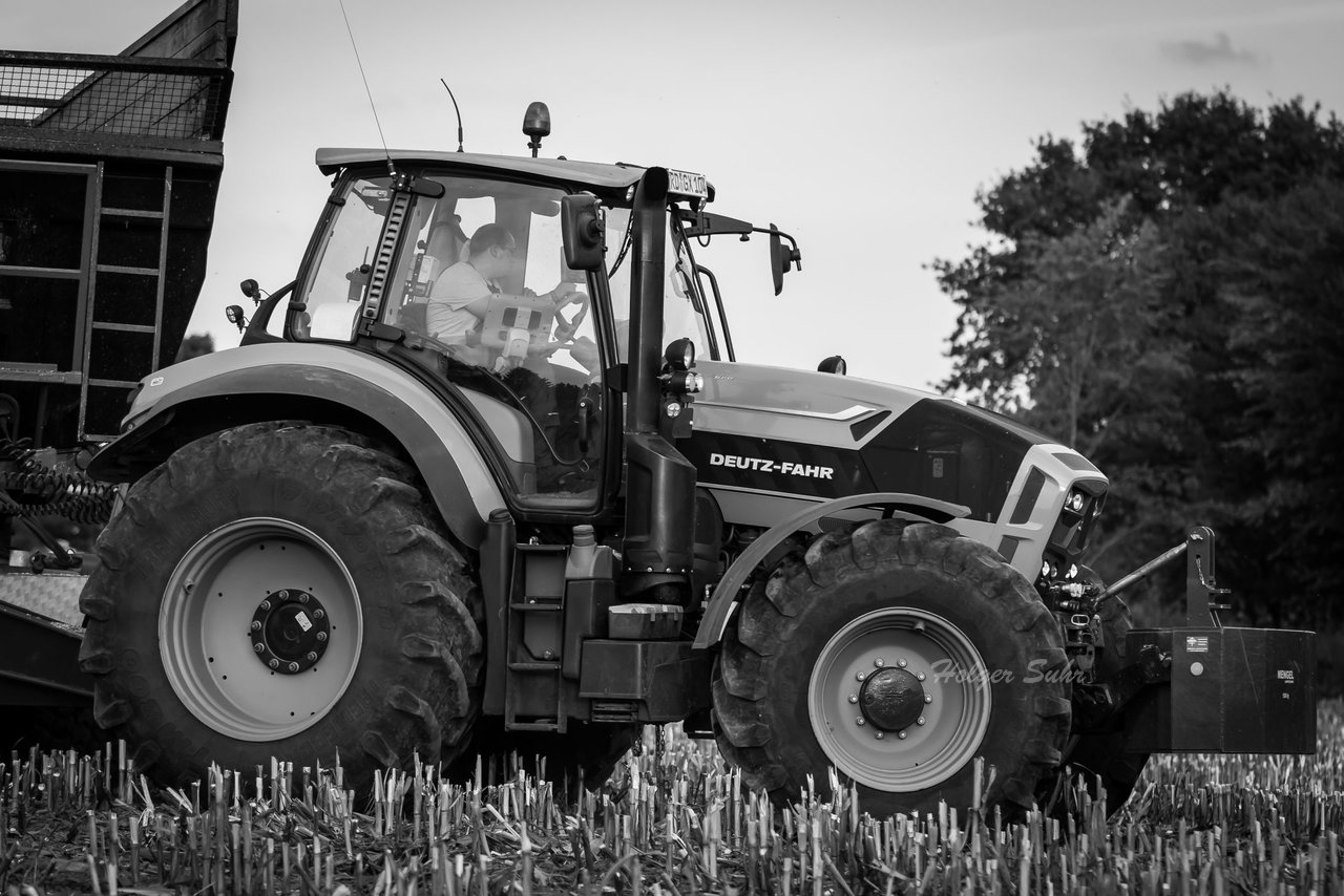 Bild 84 - Maisernte 2016